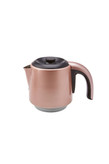 چای ساز کاراجا مدل DAYSTAR 1501